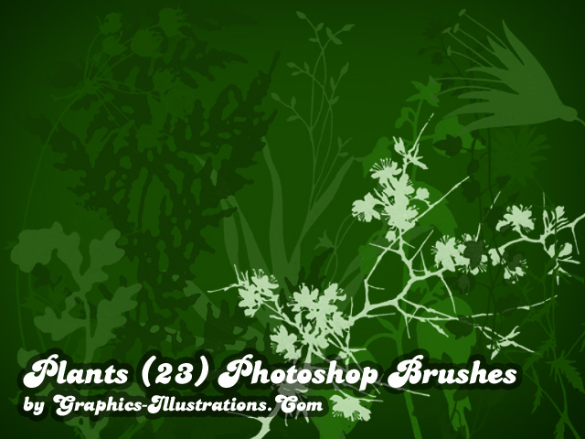 Free download: Photoshop plants brushes
