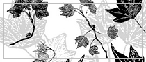 Ivy leaves, Photoshop brushes