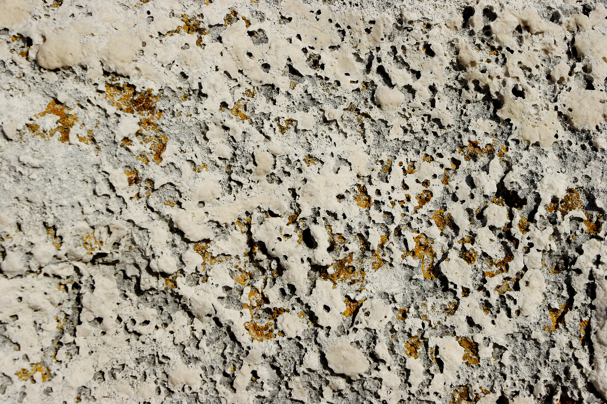 Download stone texture, photography