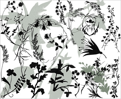 Photoshop brushes set: Plants