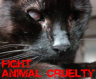 Fight Animal Cruelty
