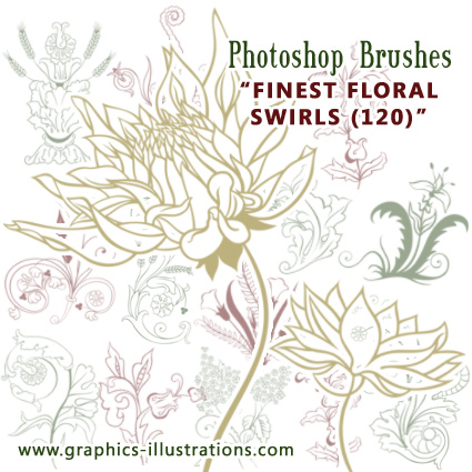 Finest Floral Swirls Photoshop brushes set (120) Finest Floral Swirls Photoshop brushes set (120)