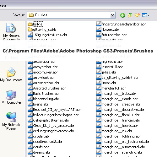 C:Program FilesAdobeAdobe Photoshop CS3PresetsBrushes