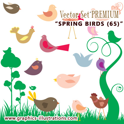 Illustrator Vector Set: Spring Birds (65) Illustrator Vector Set: Spring Birds (65)