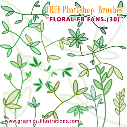 Floral FB fans Photoshop brushes set - FREE