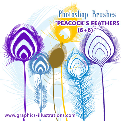 Peacock's Feathers Free Photoshop brushes set