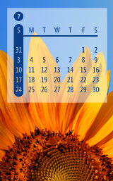 2011 Calendar Digital Stamps (Photoshop brushes)