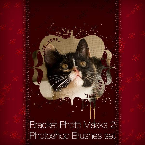 Bracket Photo Masks 2 Photoshop Brushes