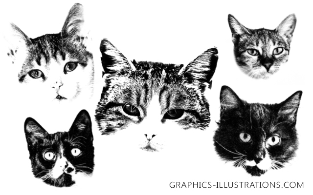Cat Heads Photoshop Brushes (Free) and Chair Decoupage
