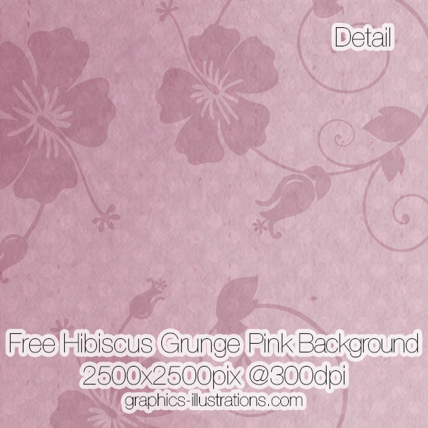Free Hibiscus Grunge Pink Background