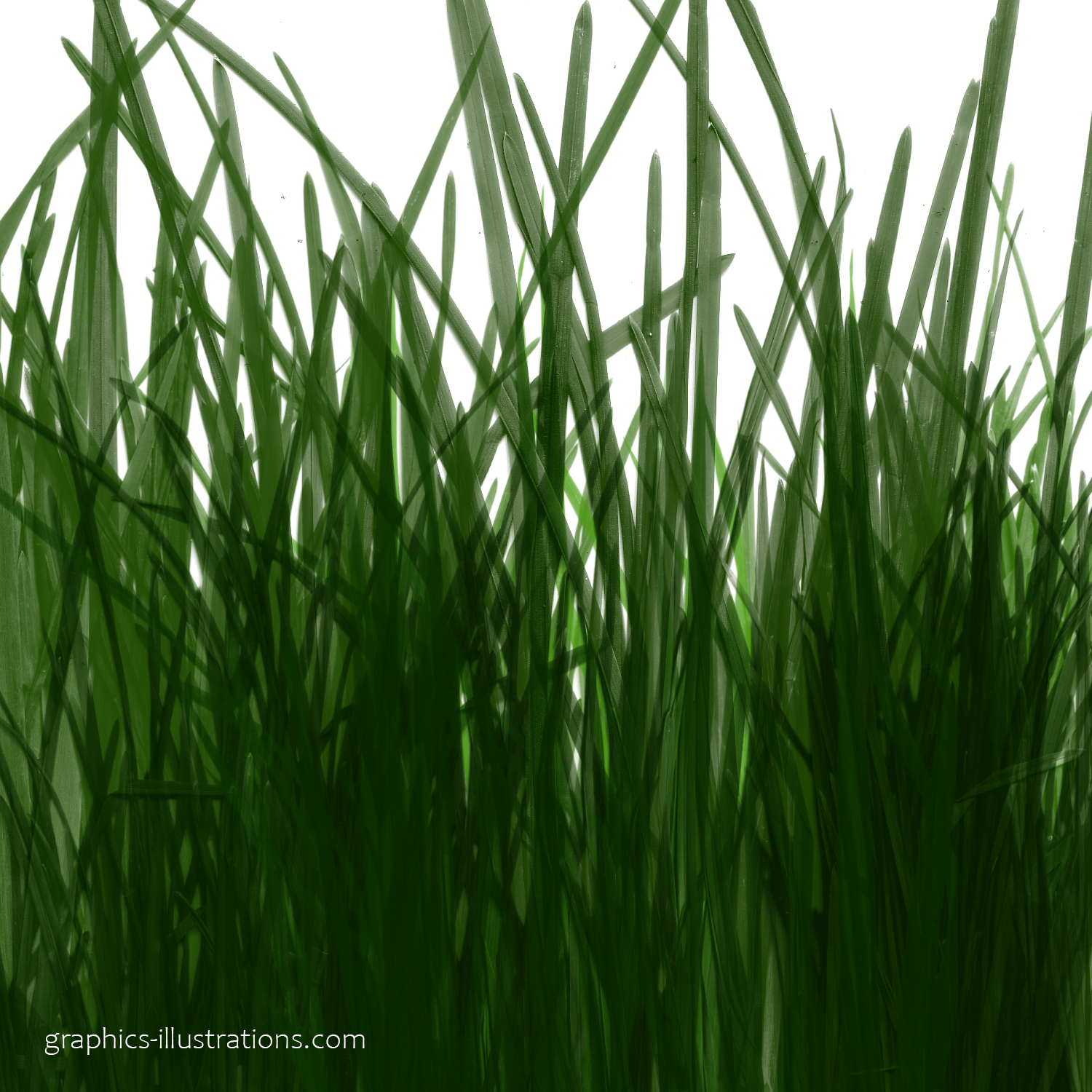Grass Photoshop Brushes