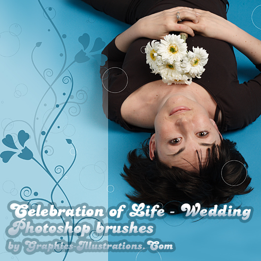 Celebration of Life - Wedding Photoshop brushes