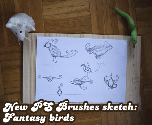 New PS Brushes sketch: Fantasy birds