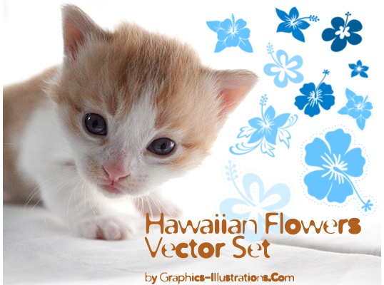 Hawaiian Flowers Vector Set (35)