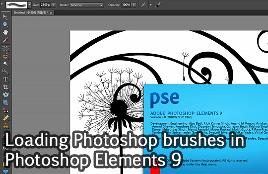 Tutorial: Loading Photoshop brushes to Photoshop Elements 9
