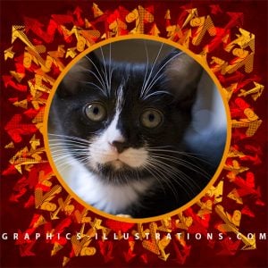 Free Digital Scrapbooking QuickPage or Photo Background or Photo Mask