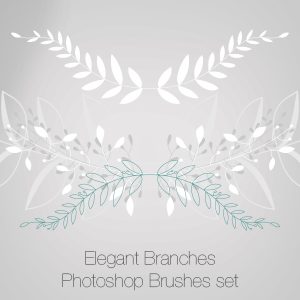 Elegant Branches Photoshop Brushes
