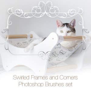 Swirled Frames and Corners Photoshop Brushes