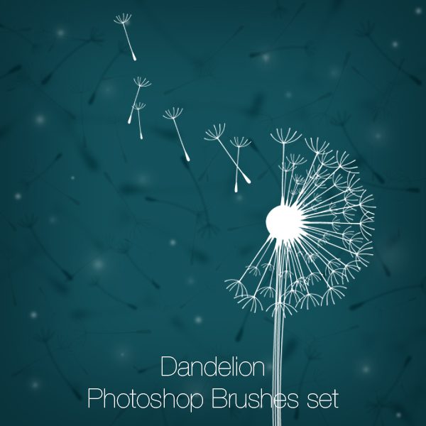 Dandelions Photoshop Brushes set