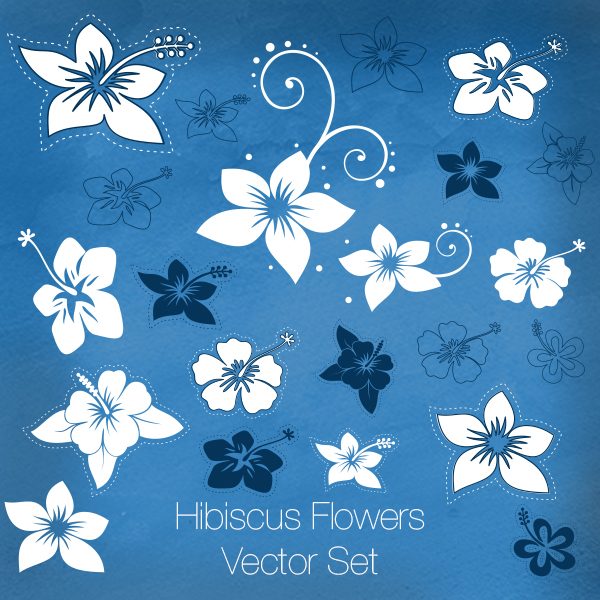 Hibiscus Flowers Vector Set