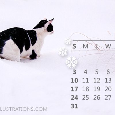 Calendar 2016 Photoshop Brushes set