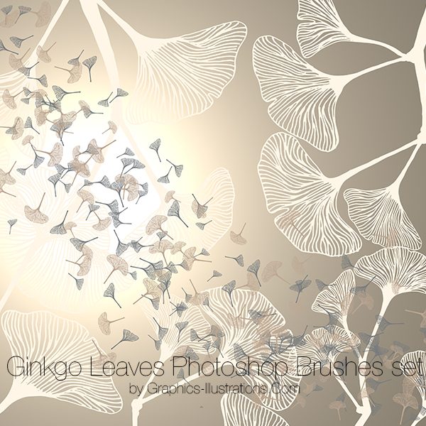 Ginkgo Leaves Photoshop brushes and transparent PNG digital stamps, Ginkgo Leaves Vector Files, Botanical Digital Stamps, Commercial Use
