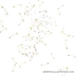 Gold, Rose Gold and Silver Foil Dandelion Clip Art