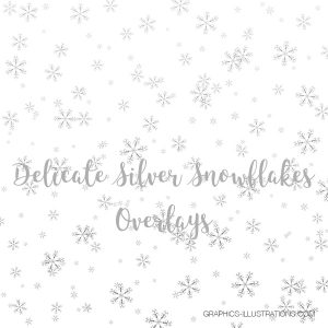Silver Snowflakes Confetti Overlays