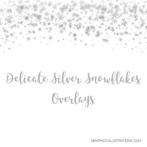 Silver Snowflakes Confetti Overlays