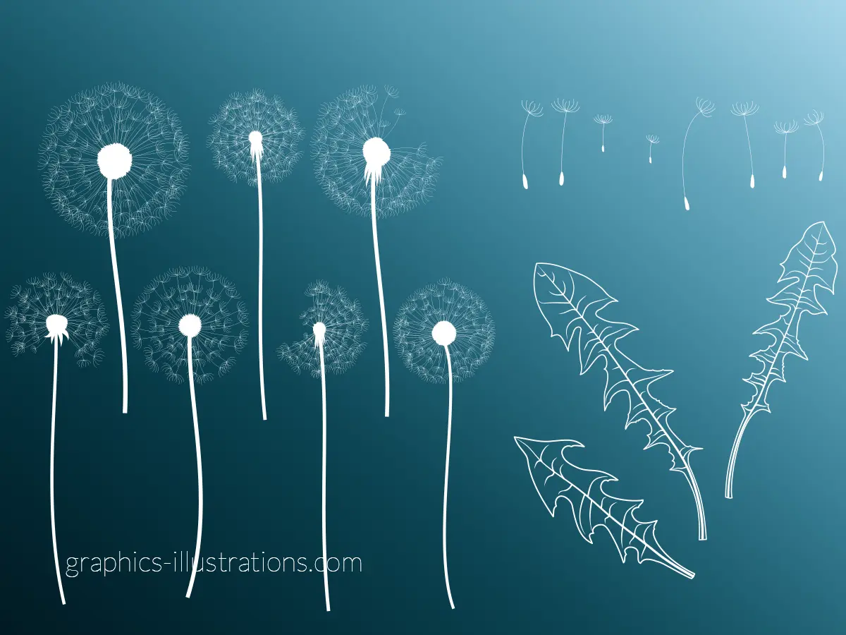 Dandelions Digital Stamps - Photoshop Brushes