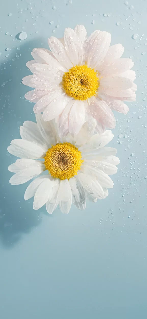 flower wallpaper iphone