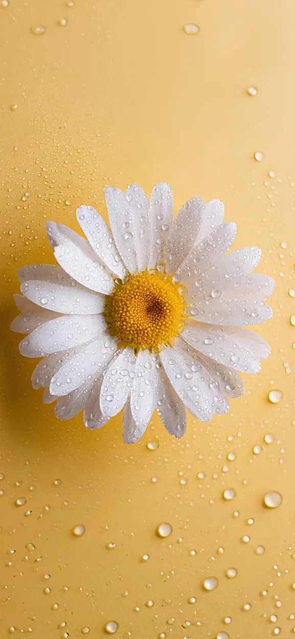 flower wallpaper iphone