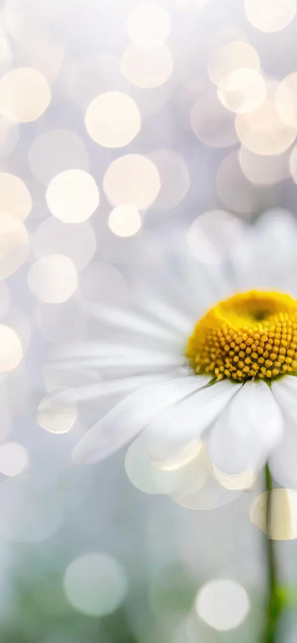 floral background for iphone