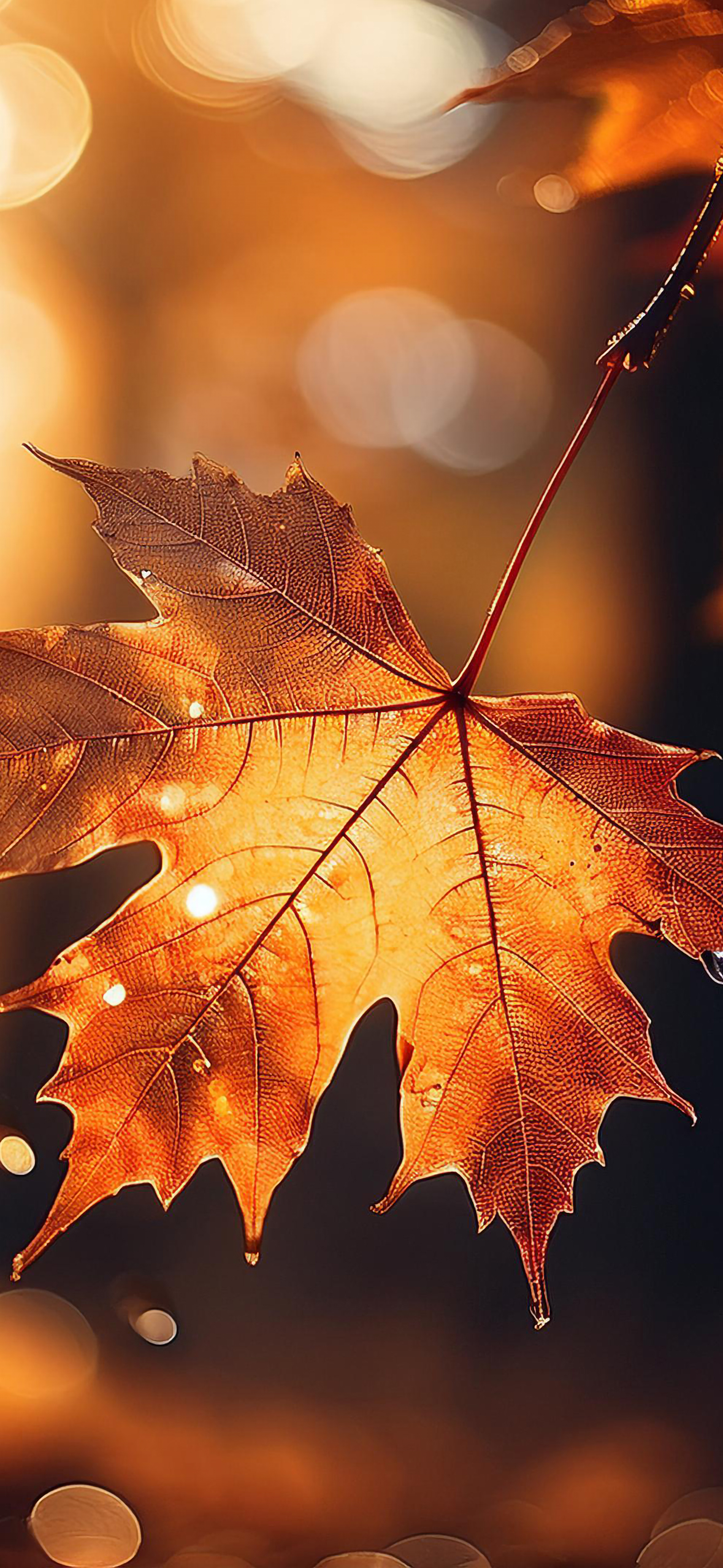Fall Wallpaper for iPhone: Cozy, Colorful, and Full of Autumn Vibes!
