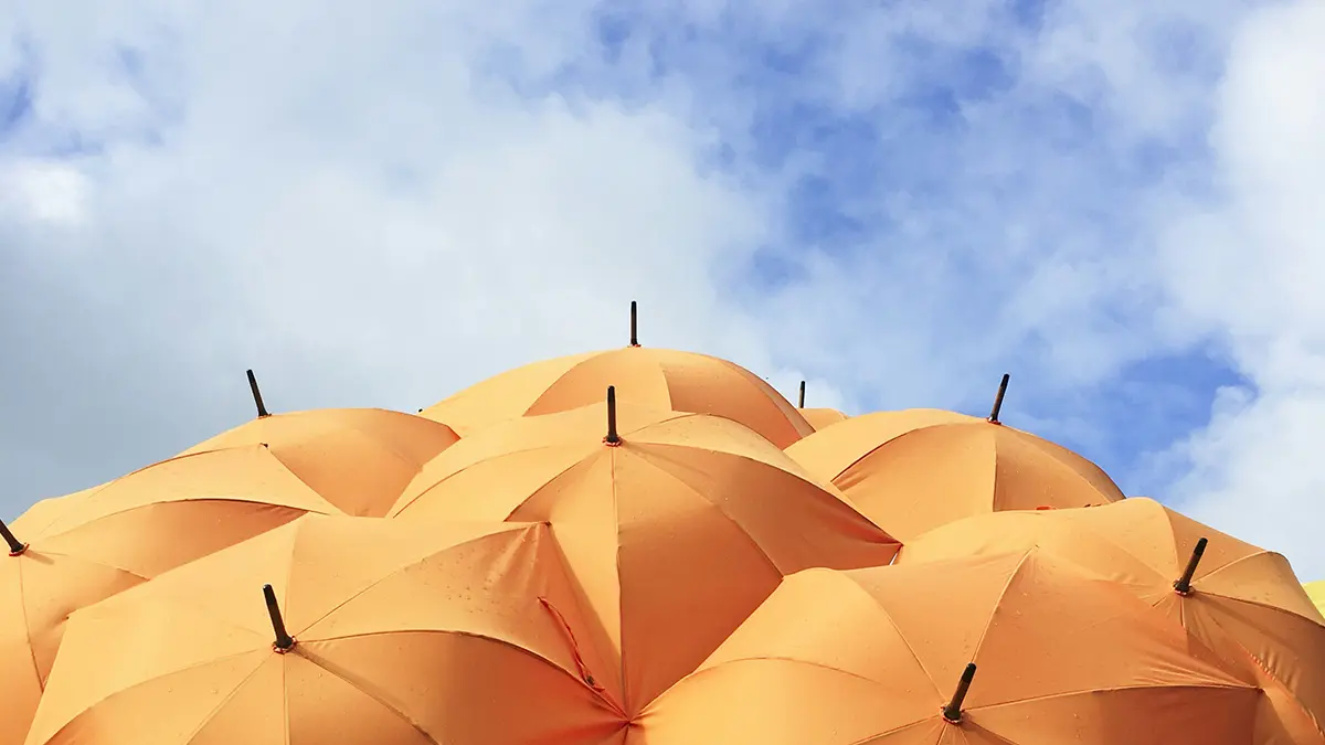 How Graphic Design Improves Insurance Marketing